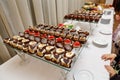 Sweet buffet - chocolate cakes, souffle and Swiss rolls, catering