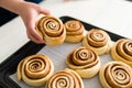 Sweet buns with cinnamon fresh out of the oven Royalty Free Stock Photo