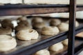 Sweet buns from raw dough on a baking sheet Royalty Free Stock Photo