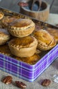 Sweet cakes with poppy seed and nut filling Royalty Free Stock Photo