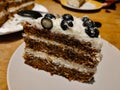 Sweet carrot cake filled with cream and blueberries and coconut on top of it