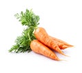 Sweet carrots with leaves Royalty Free Stock Photo