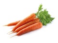 Sweet carrots root Royalty Free Stock Photo