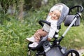 Sweet caucasian baby girl one year old sitting in stroller outdoors at autumn. Little child in pram. Infant kid sits in