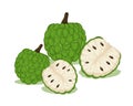 Green sweet cherimoya tropical fruit vector design whole fruit and half