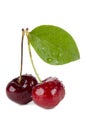 Sweet cherries