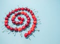 Sweet cherries arranged in spiral shape on light blue background. Flat lay