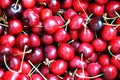 Sweet cherries background. Full frame of cherries