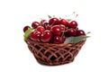 Sweet cherries in a basket isolated on a white background Royalty Free Stock Photo