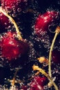 Sweet cherries with bubbles in the water on the dark background close up Royalty Free Stock Photo