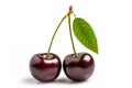 Sweet cherries with cherry leaf isolated on a white background Royalty Free Stock Photo