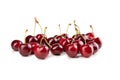 Sweet Cherries, Isolated on White Background Ã¢â¬â Prunus Avium Wild Cherry Cultivar, Group, Royalty Free Stock Photo