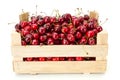 Sweet cherries (Prunus avium) in wooden crate