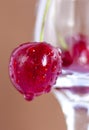 Sweet cherries. Red cherries hang on a transparent glass. Ripe berry.