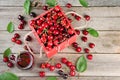 Sweet cherries Royalty Free Stock Photo