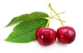 Sweet cherries with stem and leaves Royalty Free Stock Photo