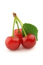 Sweet cherry