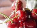 Sweet cherry Royalty Free Stock Photo