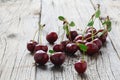 Sweet cherry background/ cherry with leaf Royalty Free Stock Photo