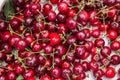 Sweet cherry. background. Group of Cherries forming a texture. cherry fruits. Royalty Free Stock Photo