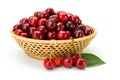 Sweet cherry berries (Prunus avium) in wicker plate Royalty Free Stock Photo