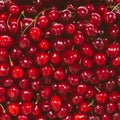 Sweet cherry fruit inclose-up on natural farmer market Royalty Free Stock Photo