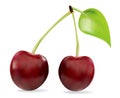 Sweet cherry isolated on white