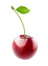 Sweet cherry Royalty Free Stock Photo