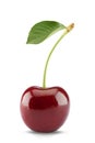 Sweet cherry isolated on white Royalty Free Stock Photo