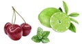 Sweet cherry lime mint watercolor illustration isolated on white background