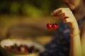 Sweet cherry merry in human hand with teenager girl on background