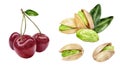 Sweet cherry pistachios watercolor illustration isolated on white background Royalty Free Stock Photo