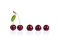 Sweet cherry set Royalty Free Stock Photo