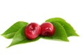 Sweet cherry on sheet Royalty Free Stock Photo