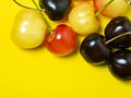 Sweet cherry with a stem on a yellow background. Natural berries on the table. Harvest. Cherries of different varieties. Place