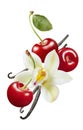 Sweet cherry and vanilla isolated on white background. Package design element with clipping path Royalty Free Stock Photo