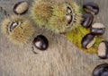 Sweet chesnuts and shell on a plank Royalty Free Stock Photo