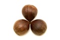 Sweet chestnuts fruits