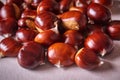 Sweet chestnuts very delicious from spain Royalty Free Stock Photo