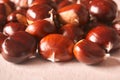 Sweet chestnuts very delicious from spain Royalty Free Stock Photo