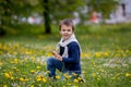 Sweet child, boy, gathering dandelions and daisy flowers