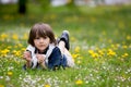 Sweet child, boy, gathering dandelions and daisy flowers