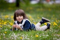Sweet child, boy, gathering dandelions and daisy flowers
