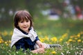 Sweet child, boy, gathering dandelions and daisy flowers