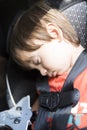 Sweet Child In His Safety Car Seat Royalty Free Stock Photo