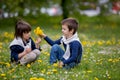 Sweet children, boys, gathering dandelions and daisy flowers