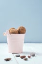 Sweet Chocolate Balls in Bucket for Rawfoodist Royalty Free Stock Photo