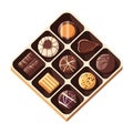 Sweet chocolate dessert icon on flat backgrounds