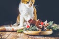 Sweet chocolate muffins decorated cherry in brown paper with ribbon on wooden bowl surrounded pine branches. Cute red white cat