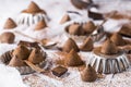 The sweet chocolate truffles Royalty Free Stock Photo